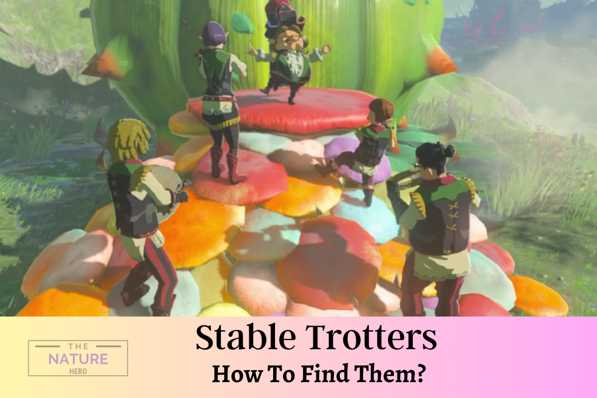 Stable Trotters How To Find Them The Nature Hero