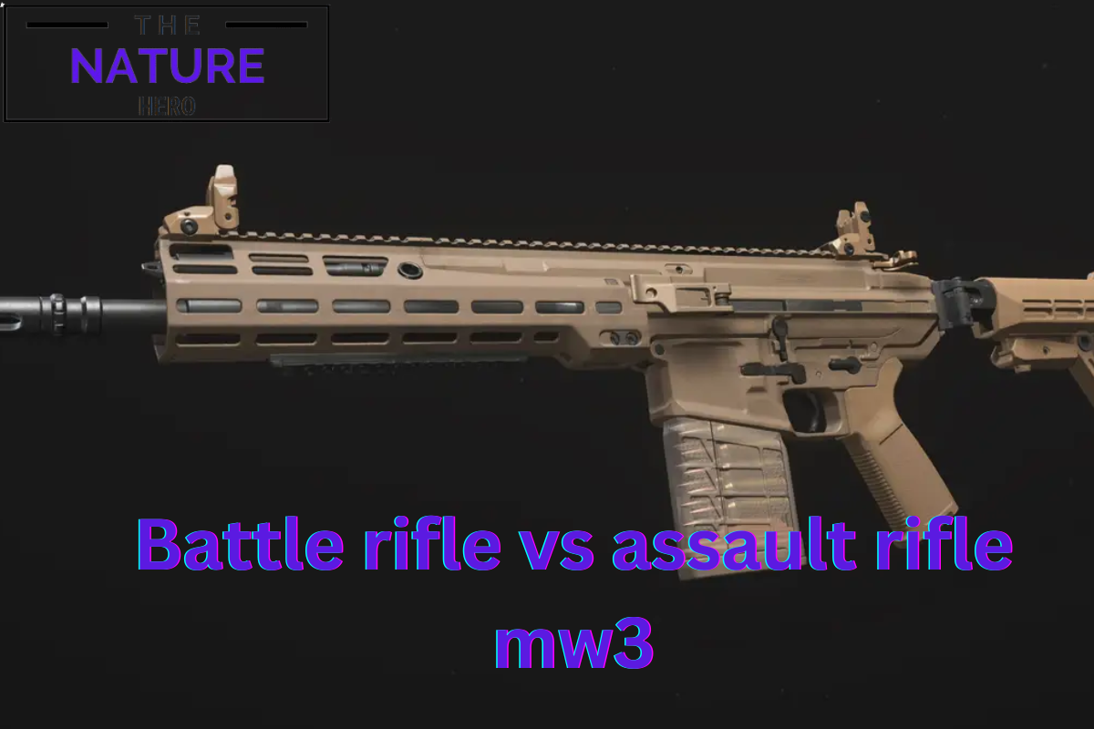 Battle Rifle VS Assault Rifle MW3 Choose Best Loadout The Nature Hero