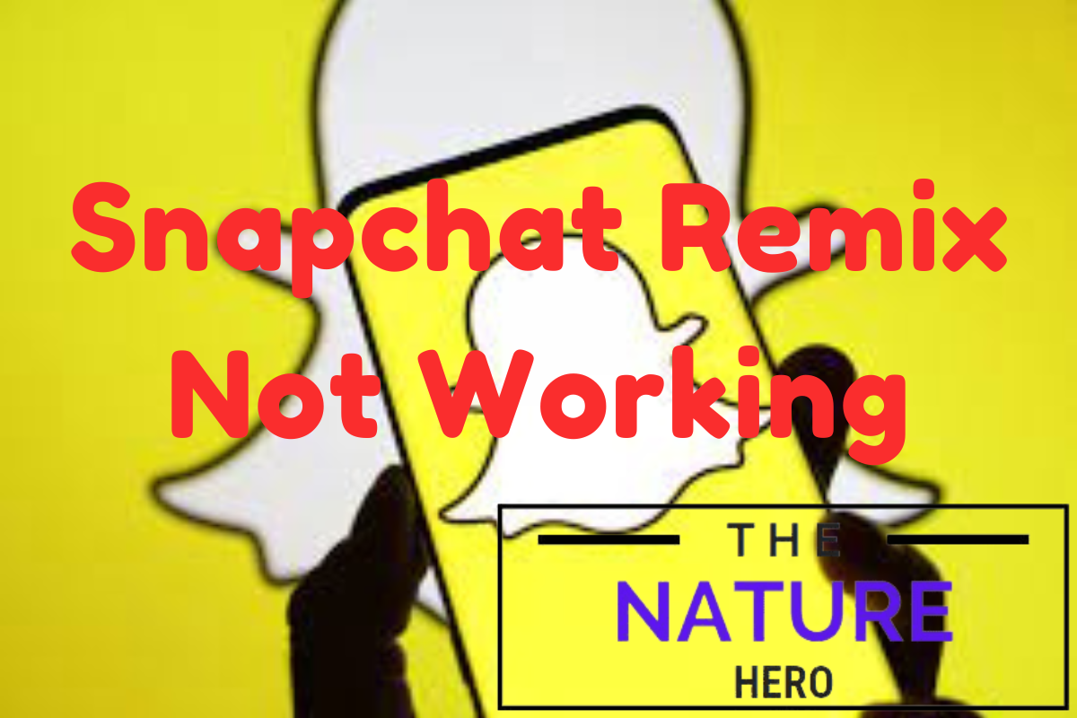 Snapchat Remix Not Working Try These Fixes The Nature Hero