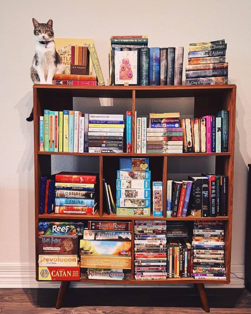 A cat sitting in a bookshelf