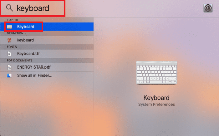 Search Keyboard under System Preferences
