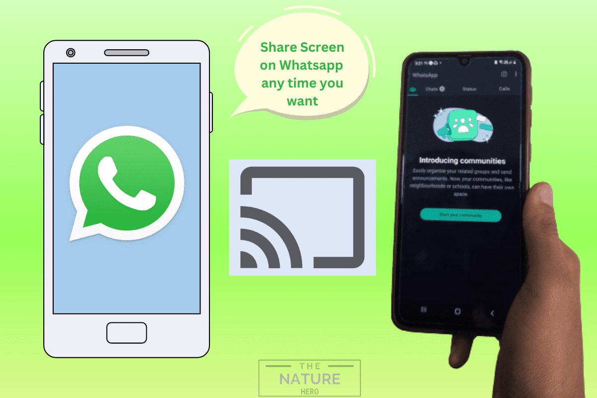 how-to-share-screen-on-whatsapp-the-nature-hero