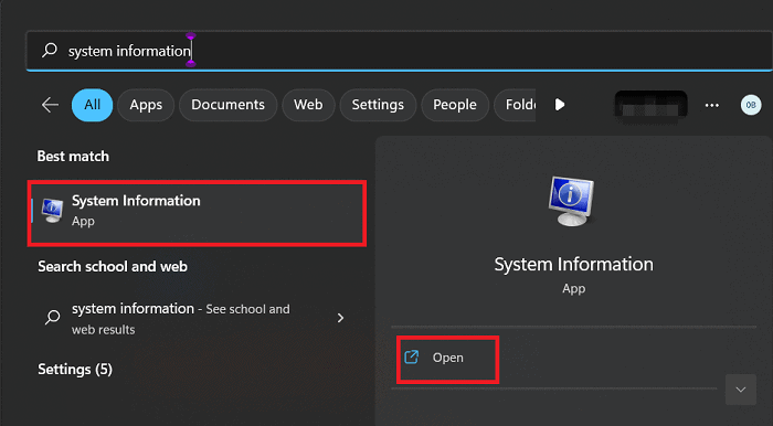 search system information window open