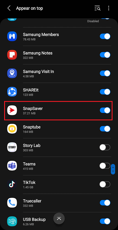 turn on floating icon snapsaver settings