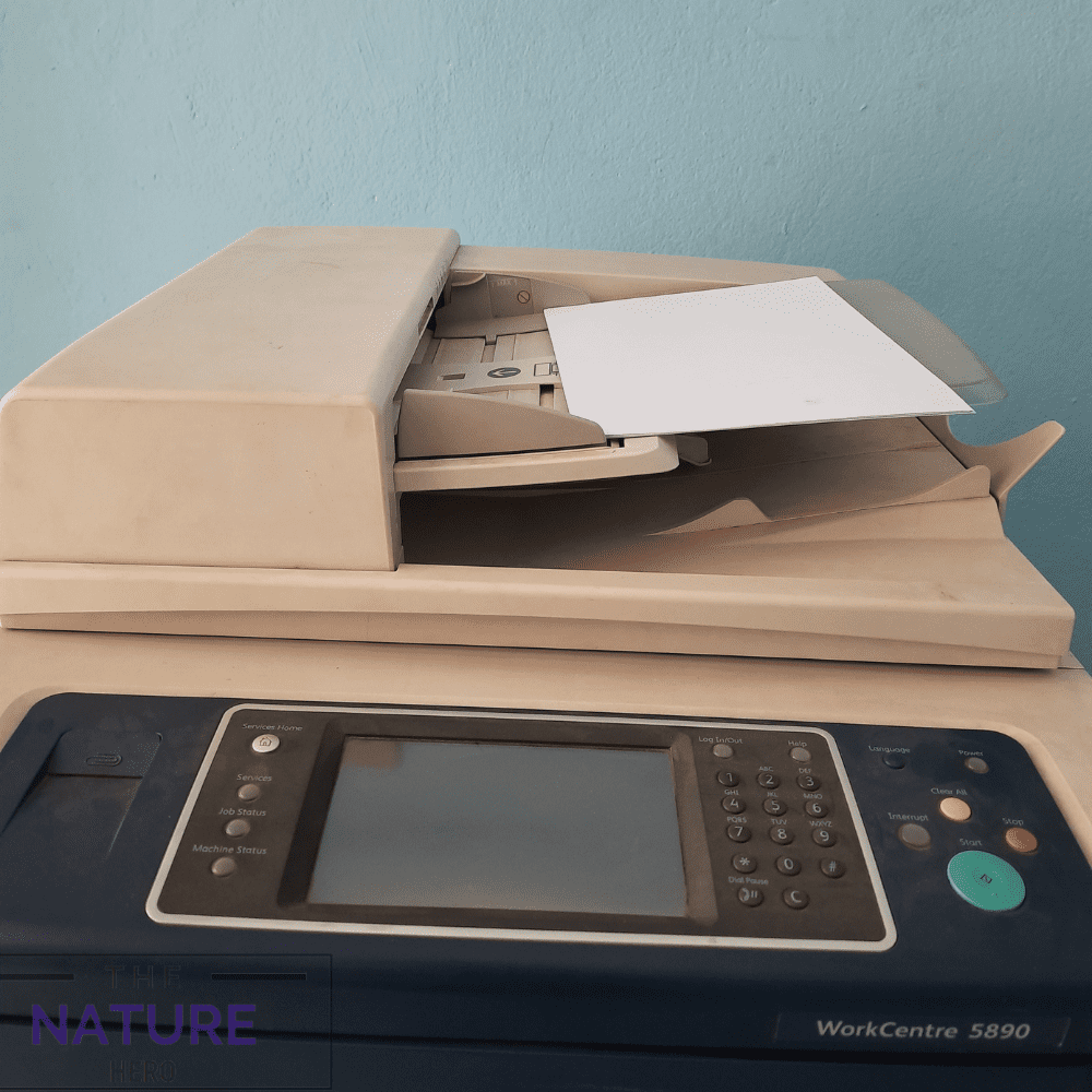 Printer paper tray