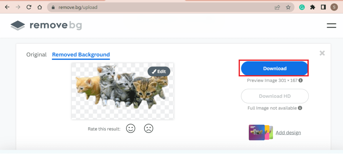 Canva Background Remover Not Working 9 Ways To Fix The Nature Hero Canva background remover not working 9 ways to fix the nature hero
