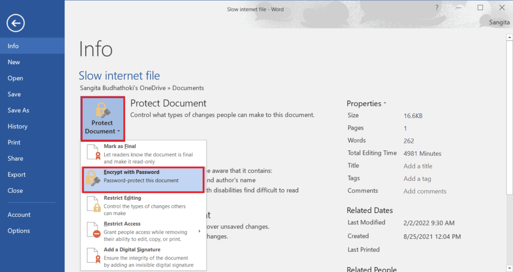 go to file protect document encrypt with password