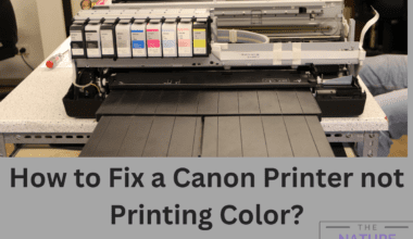 how to fix canon not printing color