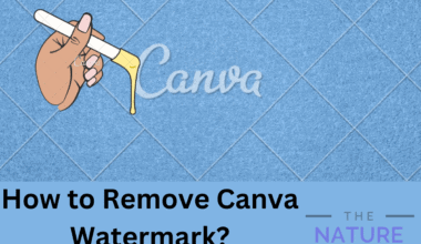 how to remove canva watermark