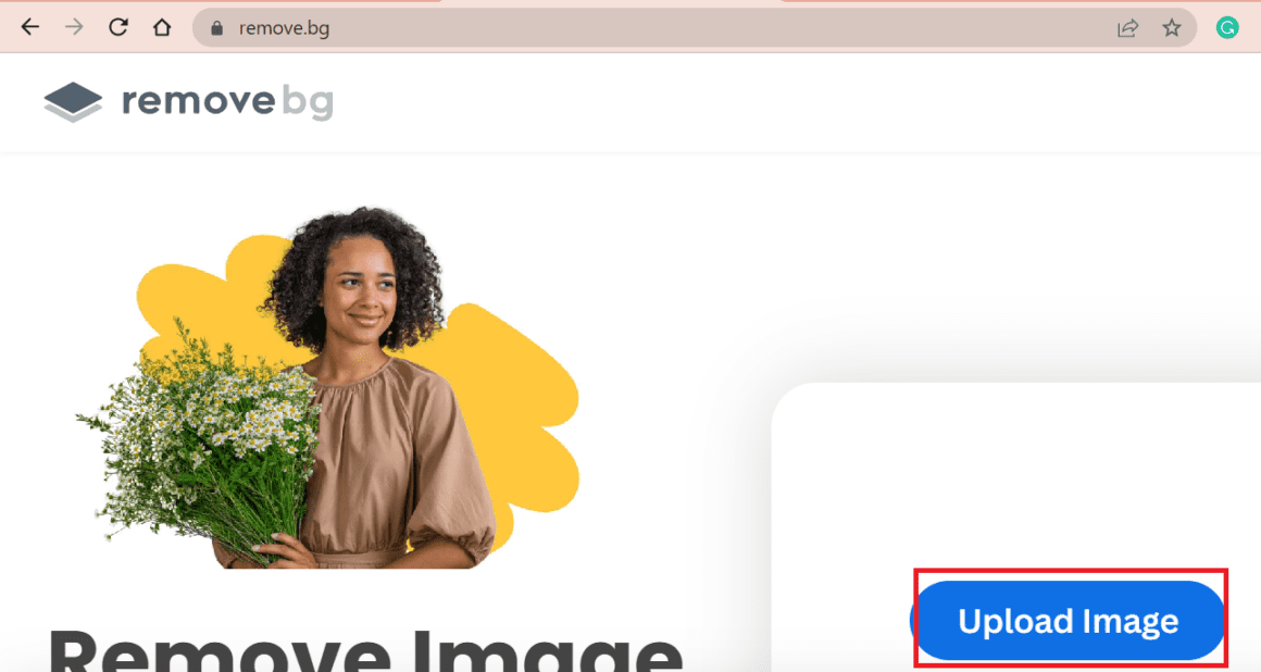 Canva Background Remover Not Working 9 Ways To Fix The Nature Hero Canva background remover not working 9 ways to fix the nature hero