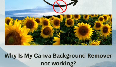 why is my canva background remover not working