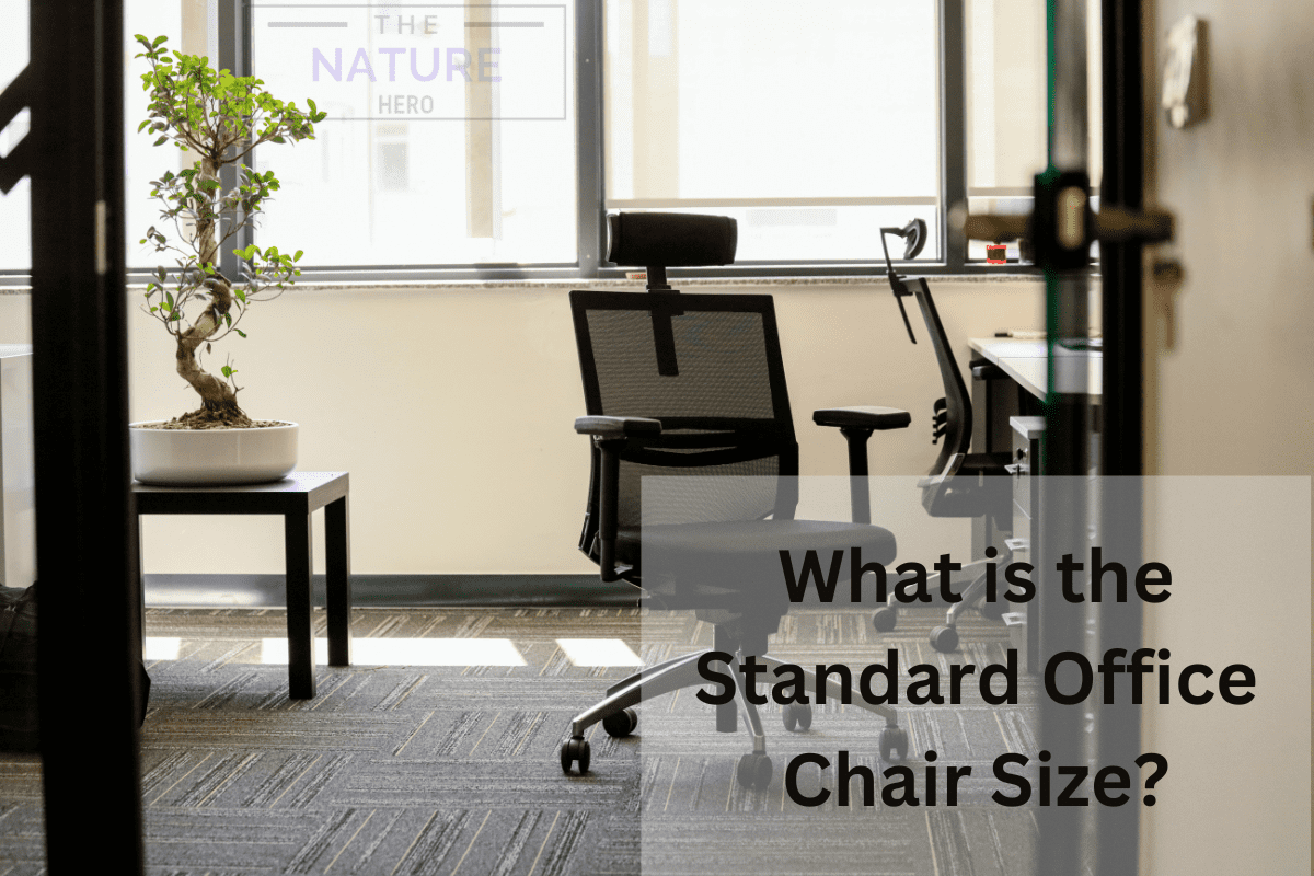 What is the Standard Office Chair Size? [Ultimate Guide] The Nature Hero