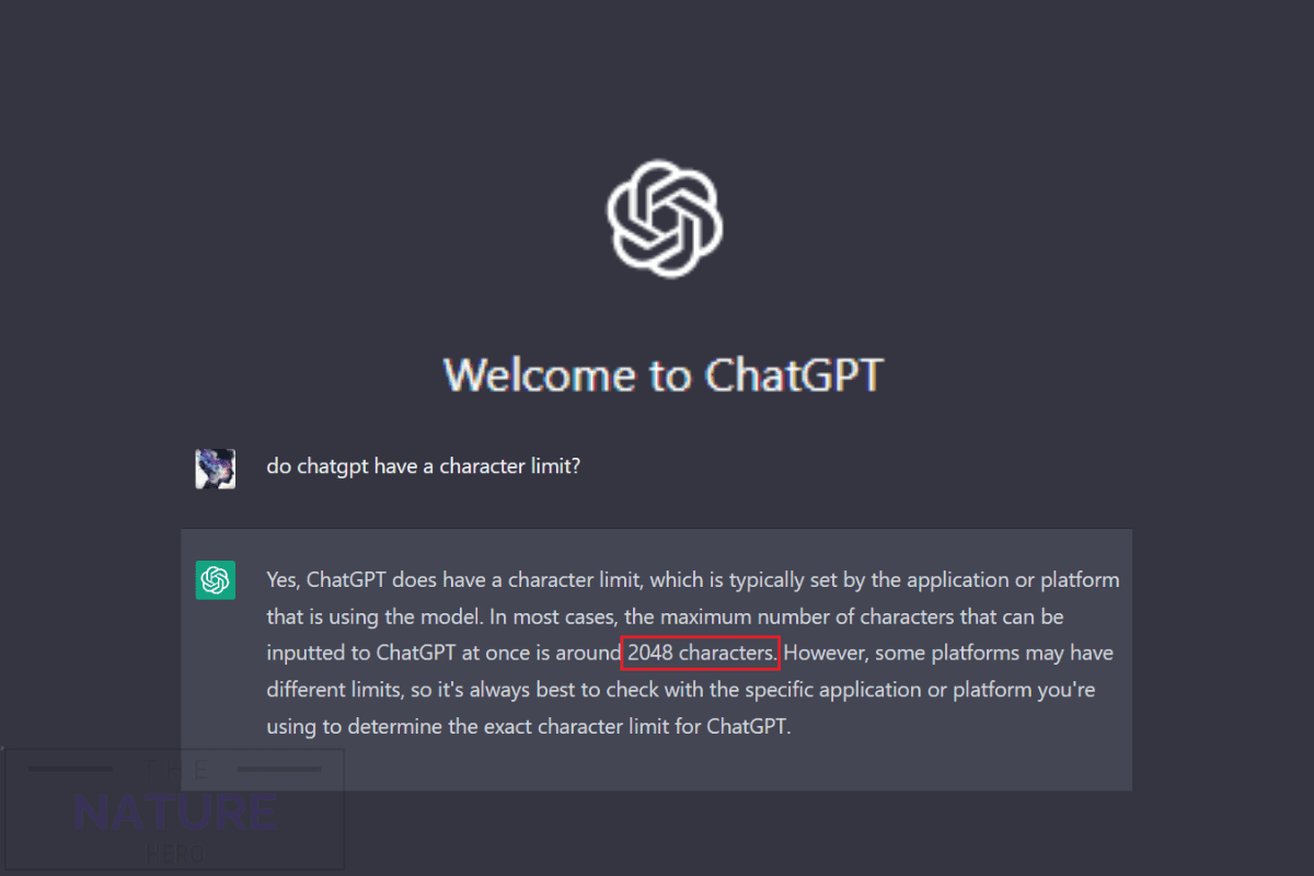 how-to-bypass-chatgpt-character-limit-the-nature-hero