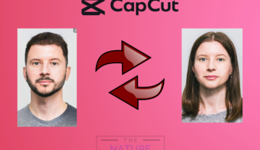gender swap filter on capcut
