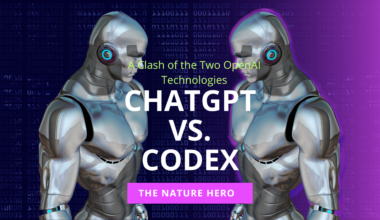 ChatGPT vs Codex