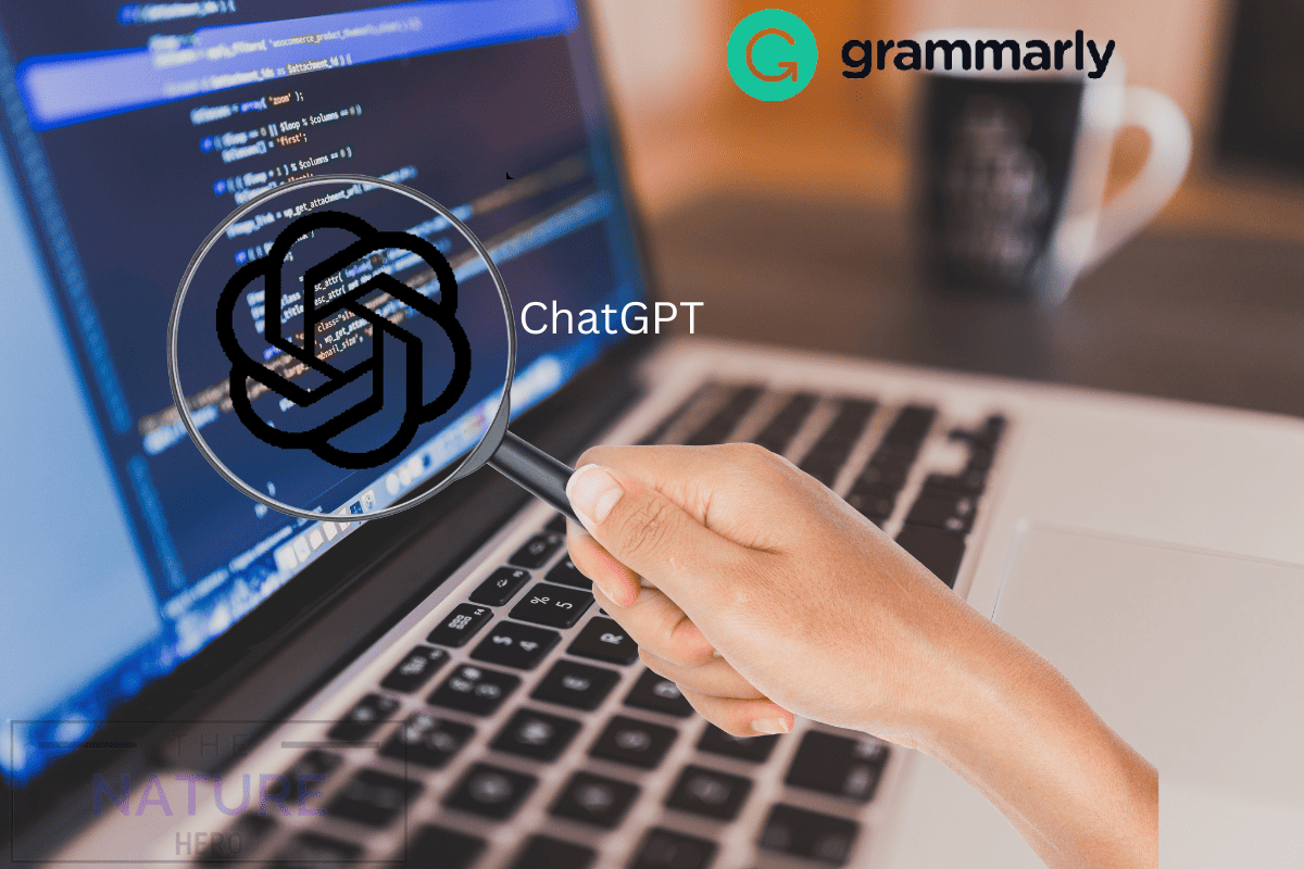 Can Grammarly detect ChatGPT?