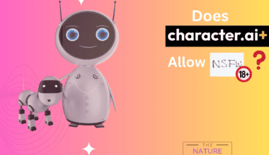 Does character ai allows nsfw