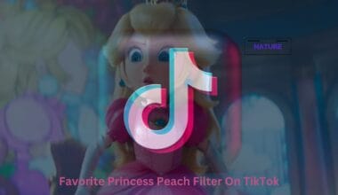 Favorite Princess Peach Filter On TikTok
