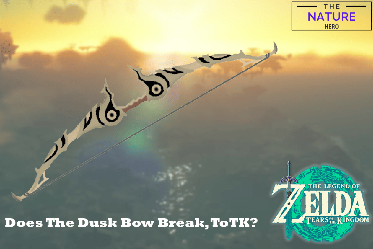 Does The Dusk Bow Break ToTK? Repair Guide - The Nature Hero