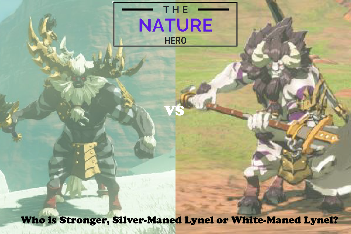 Silver Lynel Vs White Lynel Which Is Stronger The Nature Hero   Featuredimagestrongestwho 