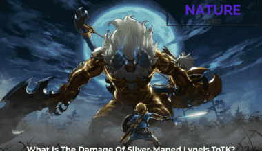 What is the Damage of Silver-Maned Lynel,ToTK?