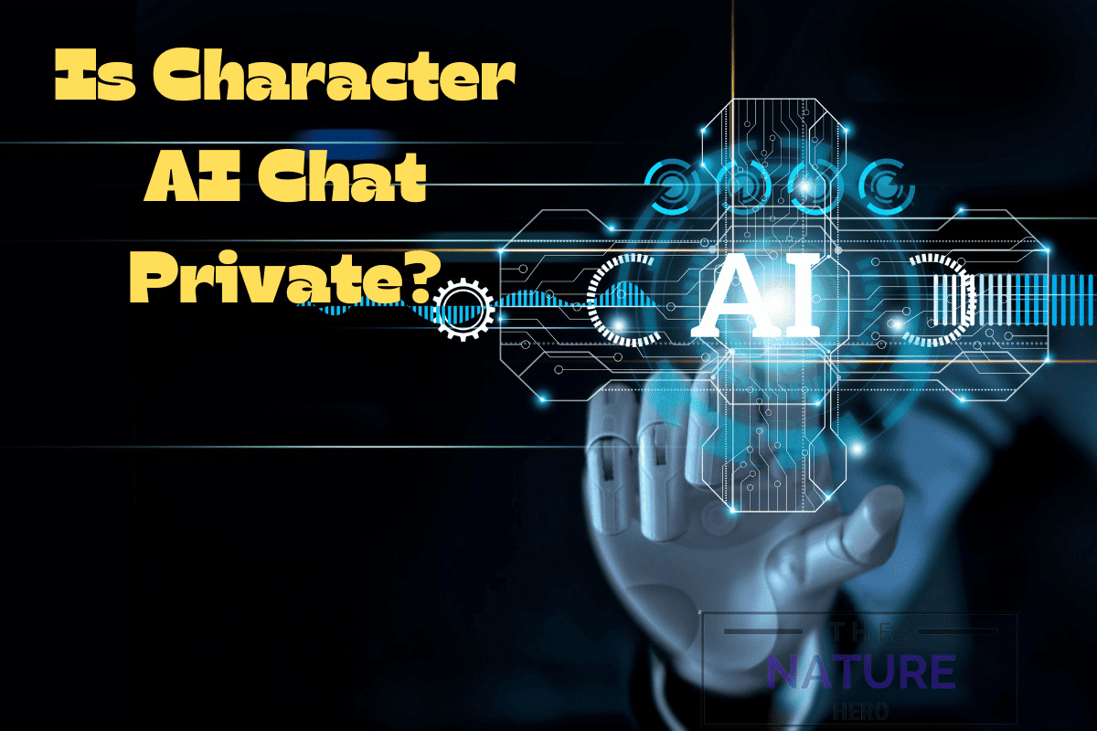 is-character-ai-chat-private-the-nature-hero