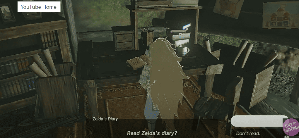 Read Zelda's Next Diary