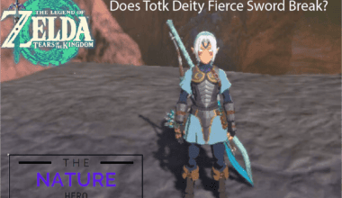 Does Totk Fierce Deity Sword Break