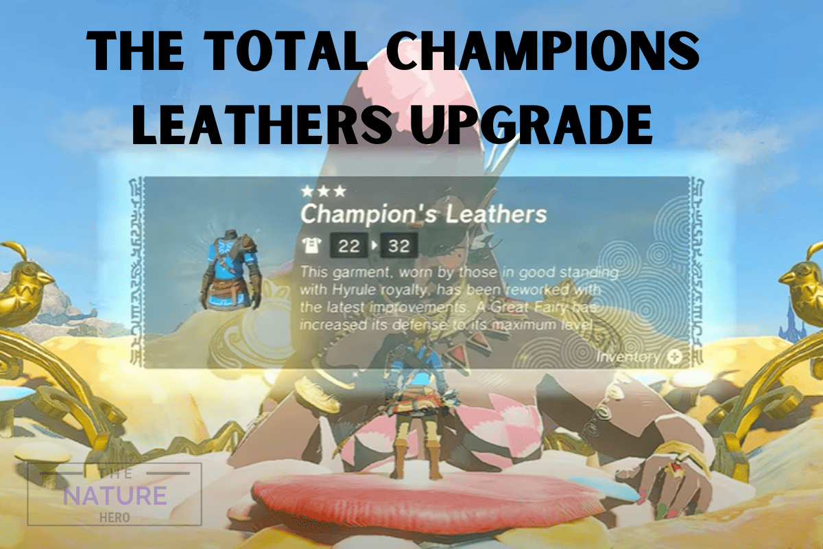 Champions Leathers Upgrade