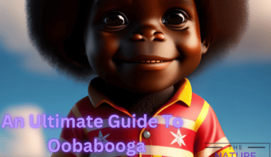 Feature image of Oobabooga