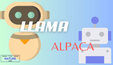LLaMA vs Alpaca AI
