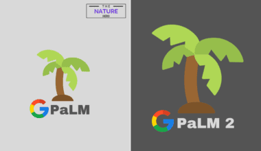 Google Palm vs. Google Palm 2