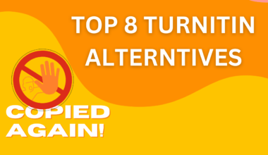 Top 8 Turnitin Alternatives