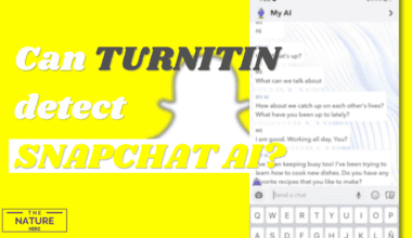 Can Turnitin detect Snapchat AI
