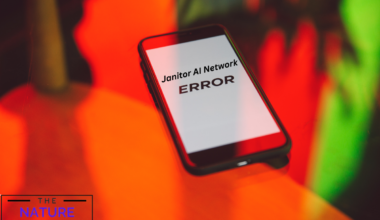 Janitor AI Network Error