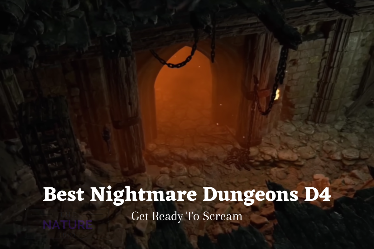 Best Nightmare Dungeons D4 Get Ready To Scream The Nature Hero   Best Nightmare Dungeons D4 