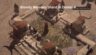 Bloody Wooden Shard in Diablo 4