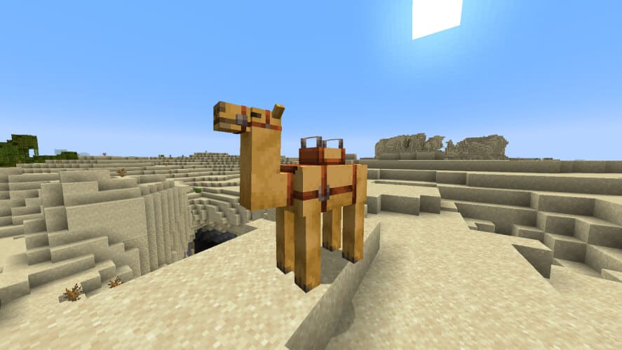 Camel With A Saddle On Its Back 