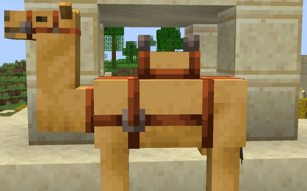 Can You Put Chests On Camels In Minecraft? - The Nature Hero