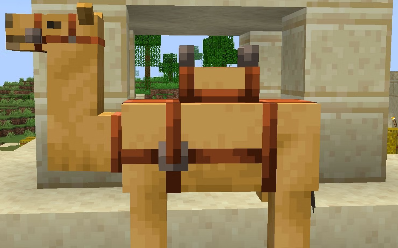 Camel Model In Game