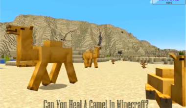 How To Heal A Camel In Minecraft