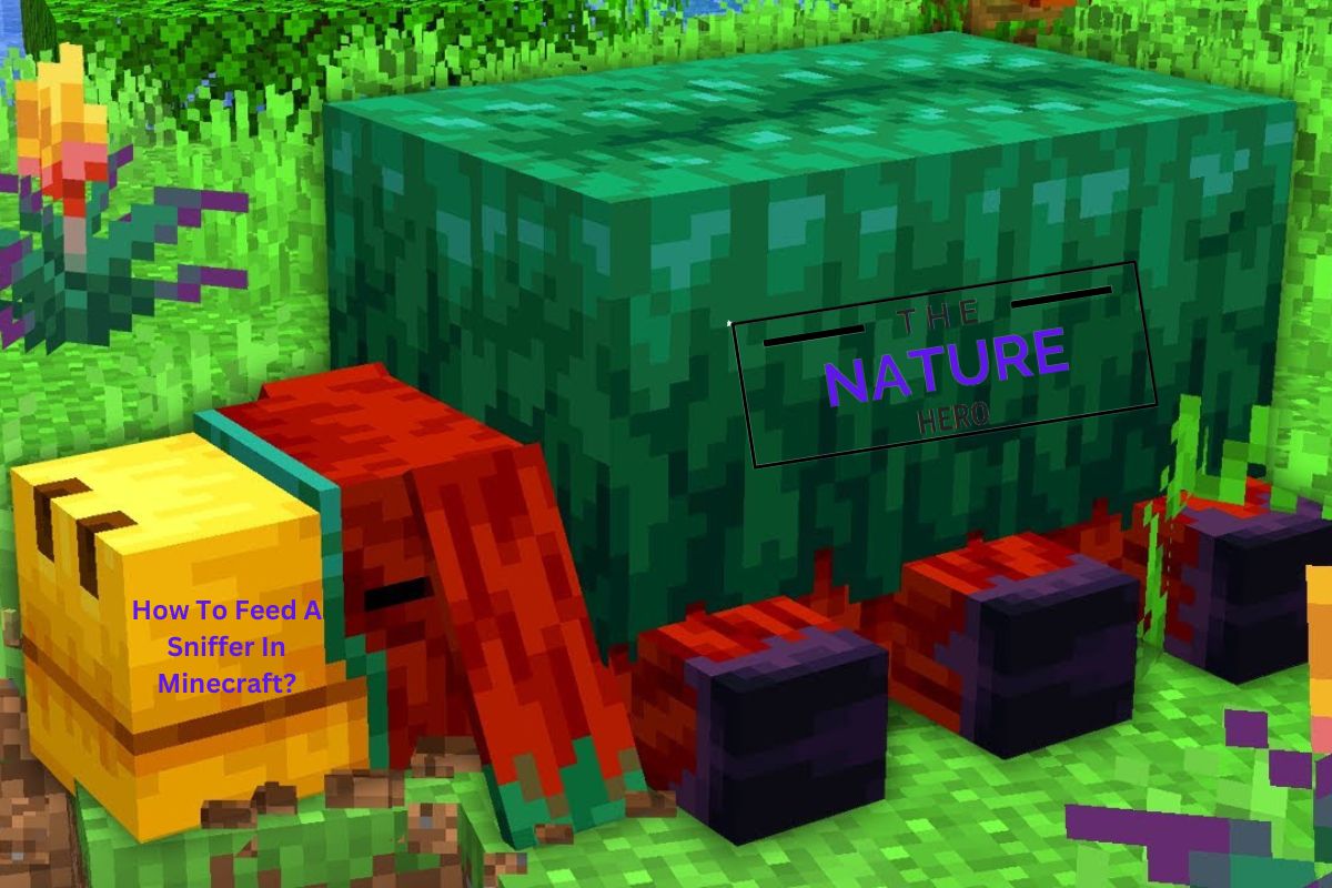 how-to-feed-a-sniffer-in-minecraft-the-nature-hero