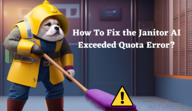 How To Fix the Janitor AI Exceeded Quota Error