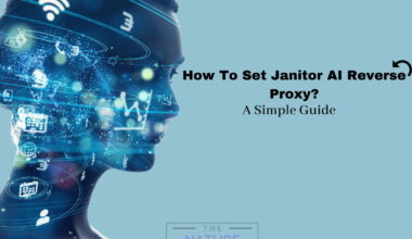 How To Set Janitor AI Reverse Proxy