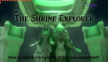 How to check the number of Shrines completed
