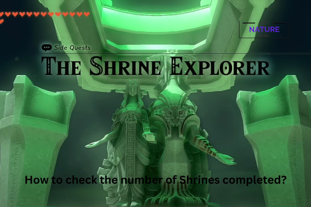 How To Check Completed Shrines In TotK? The Nature Hero