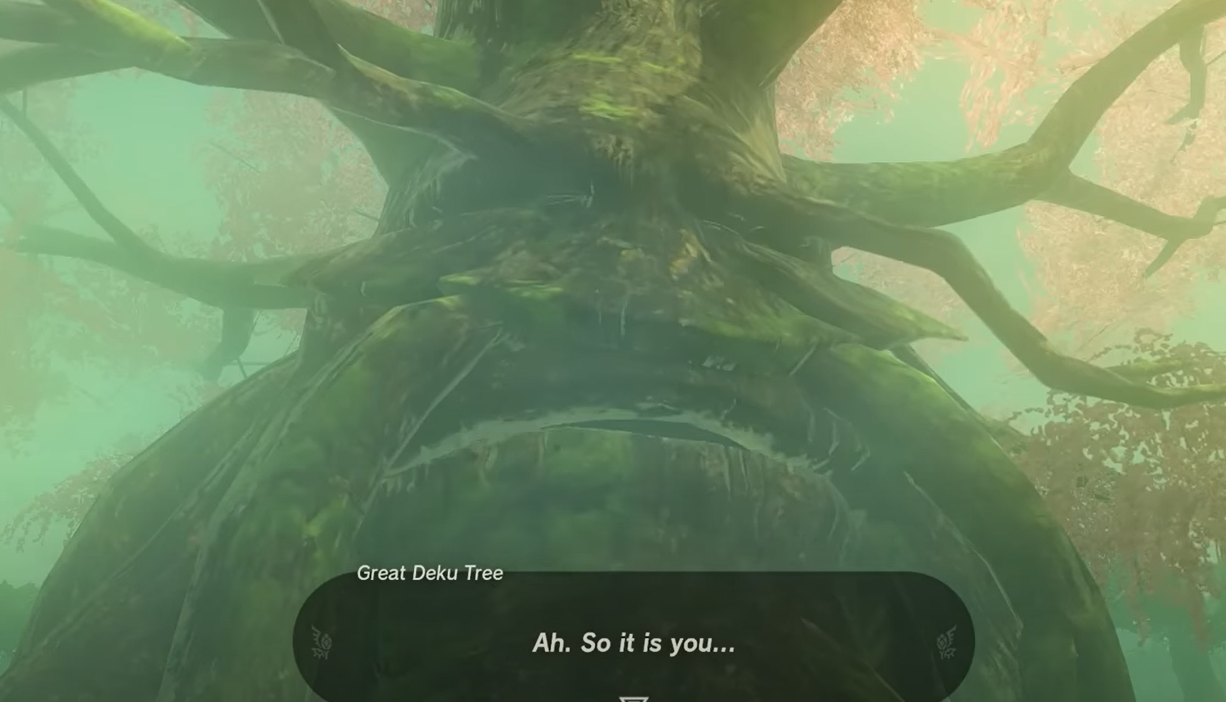 Interaction With The Deku Tree