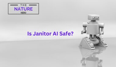 Is Janitor AI Safe