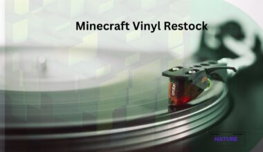 Minecraft Vinyl Restock