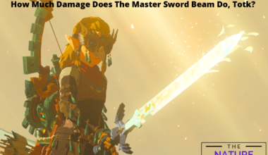 Master Sword Beam TotK